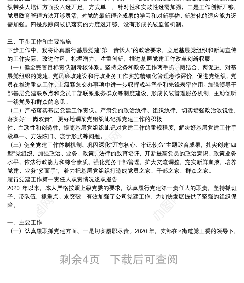 履行党建工作第一责任人职责情况述职报告