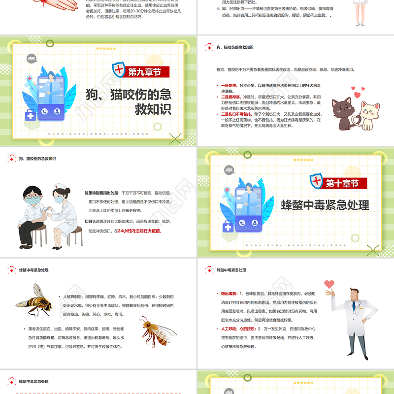 2022家庭急救常识PPT插画风家庭急救常识宣传课件模板