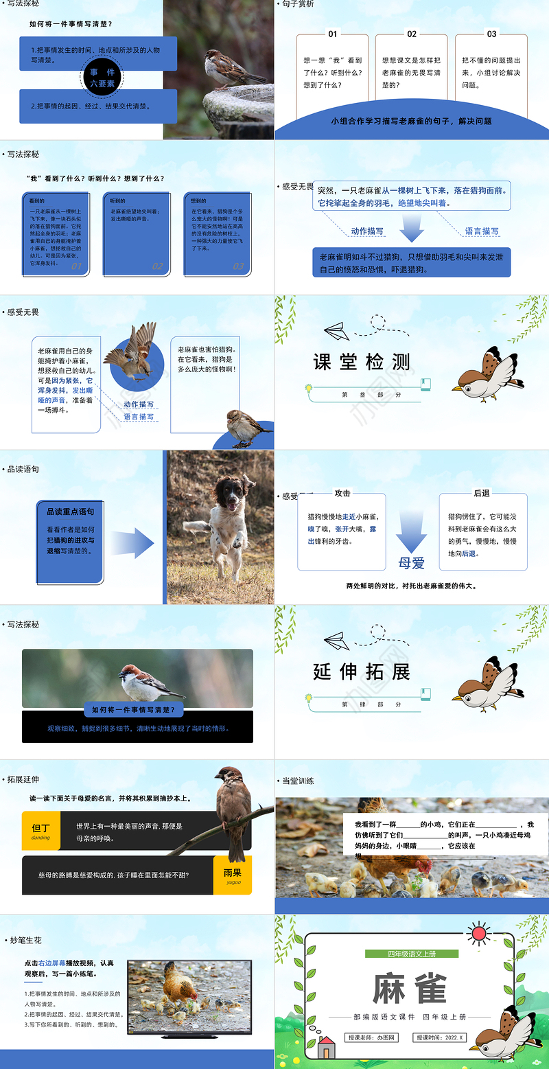 2022麻雀PPT第16课小学四年级语文上册部编人教版教学课件