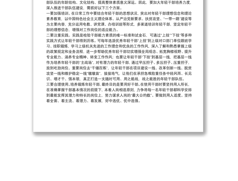 研讨发言：加大年轻干部培养力度 深入推进干部队伍建设