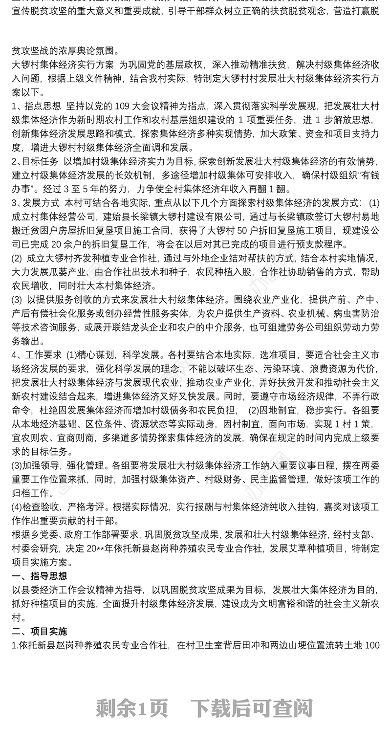 XX村集体经济项目实施方案