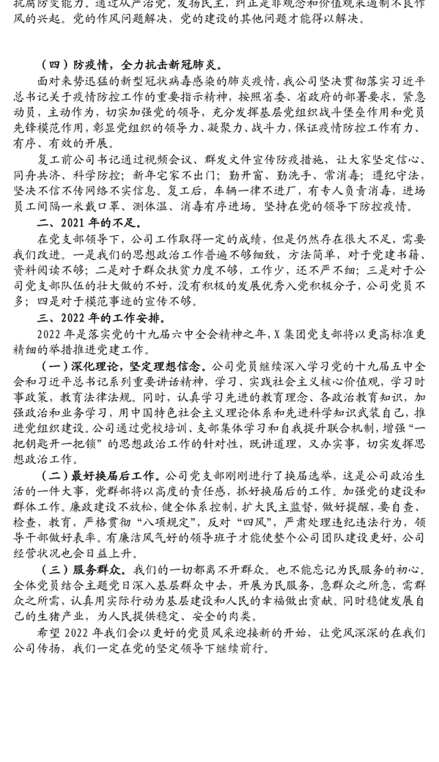 2021年X集团支部党建工作总结及下年度工作计划