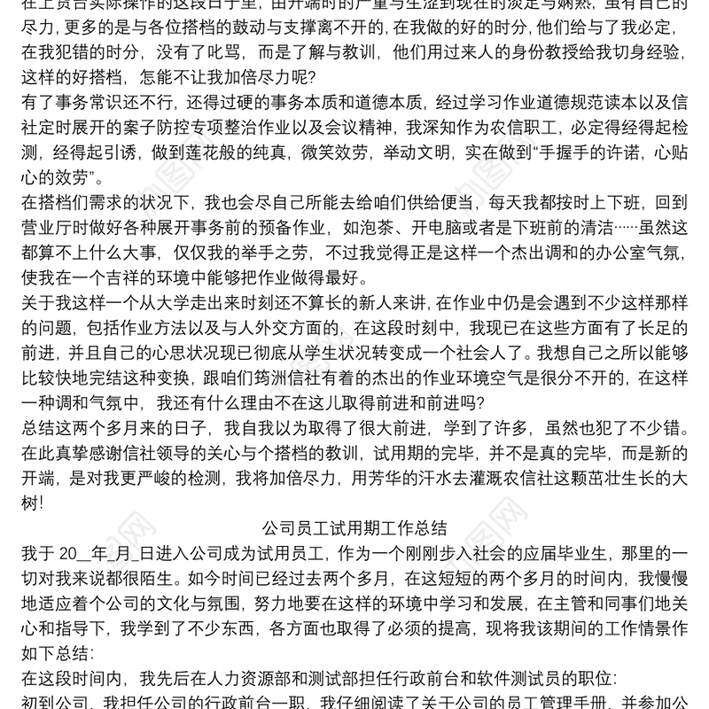 试用期工作总结