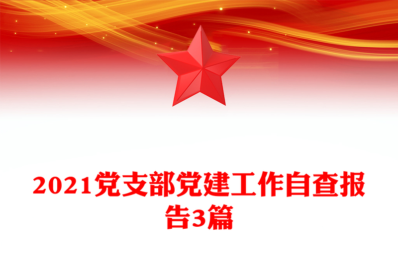 2021党支部党建工作自查报告3篇
