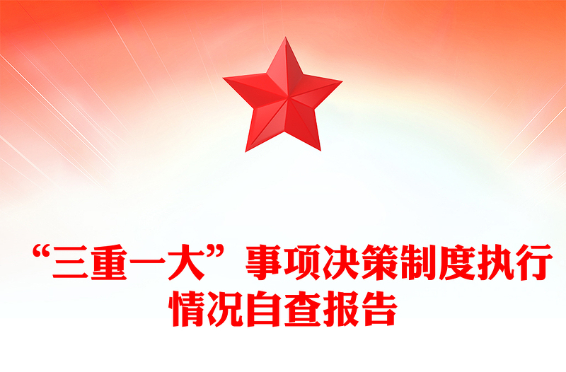 “三重一大”事项决策制度执行情况自查报告