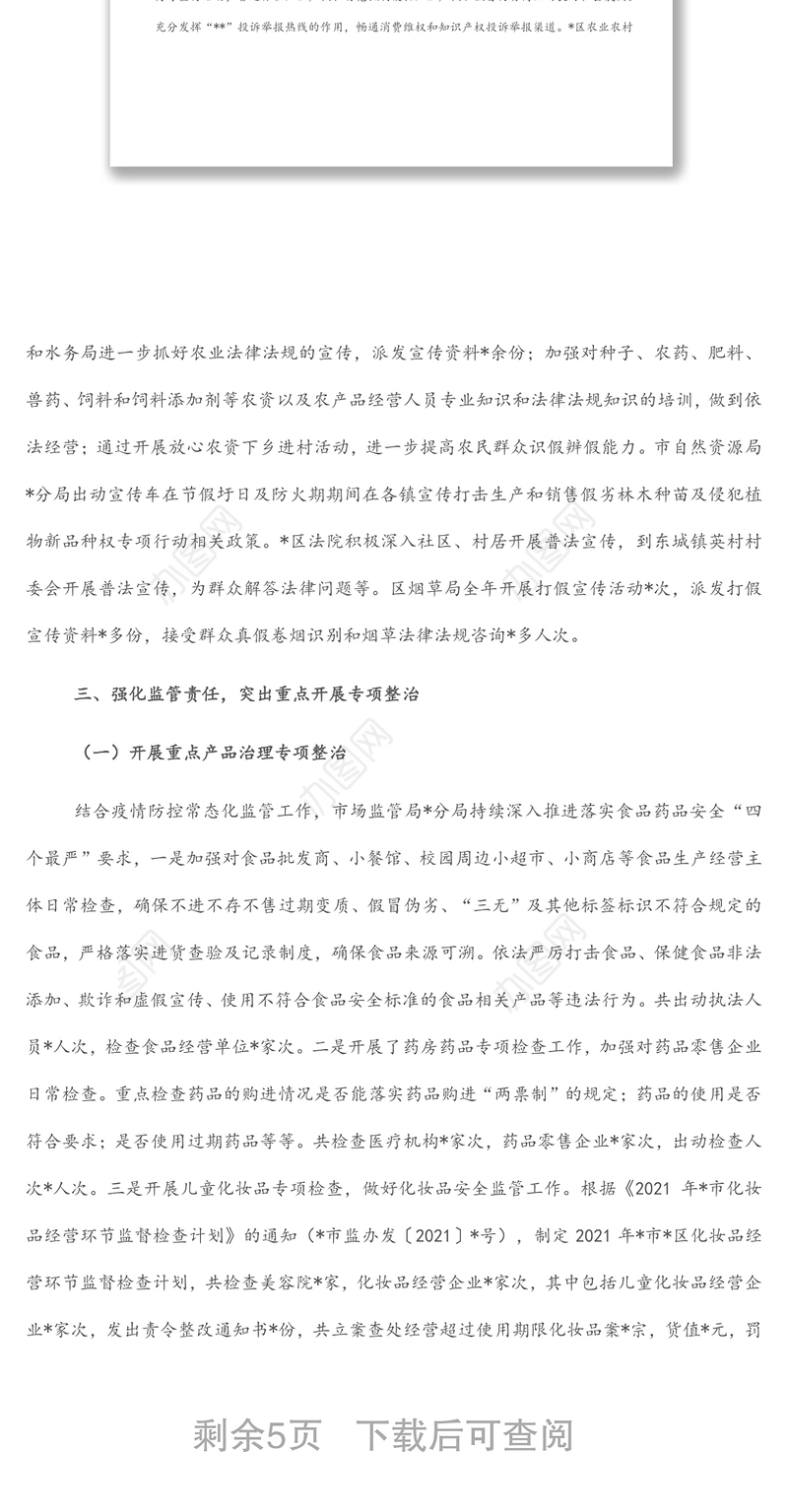 打击侵犯知识产权和制售假冒伪劣商品工作总结及下一年工作计划