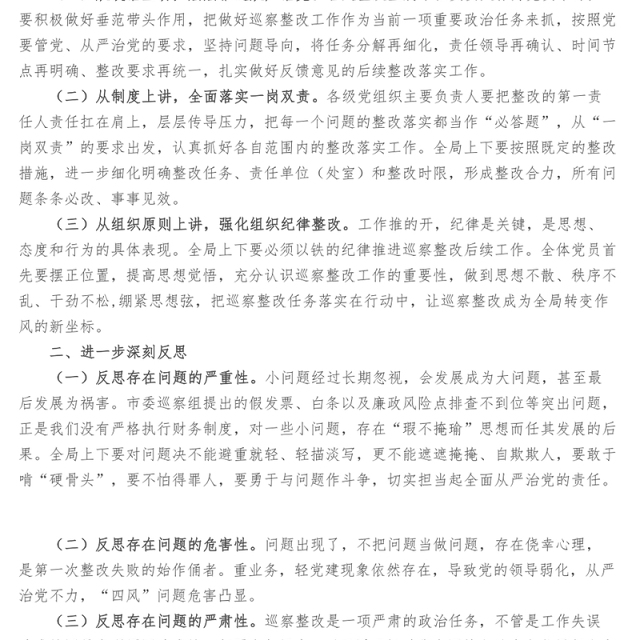 市局党组巡察整改回头看工作总结