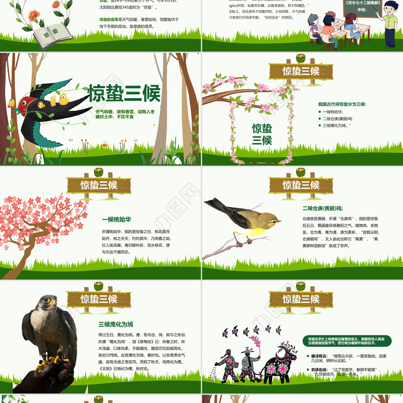 原创二十四节气惊蛰ppt课件主题班会-版权可商用