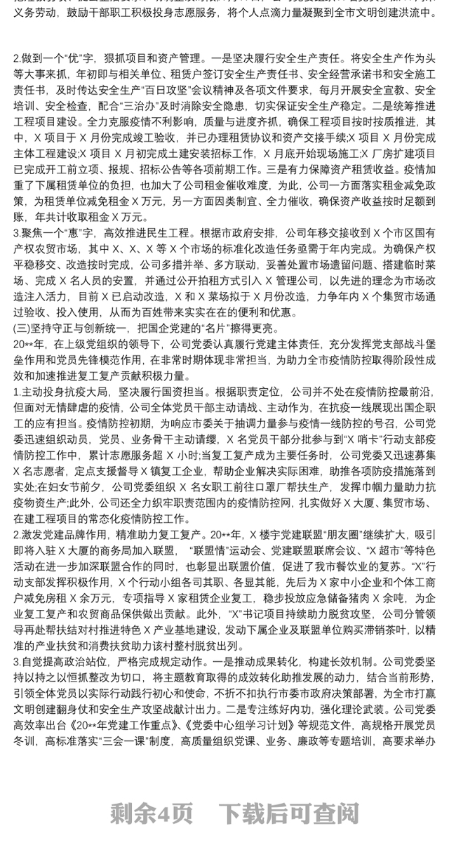 202120xx年投资发展有限公司工作总结及20xx年工作计划