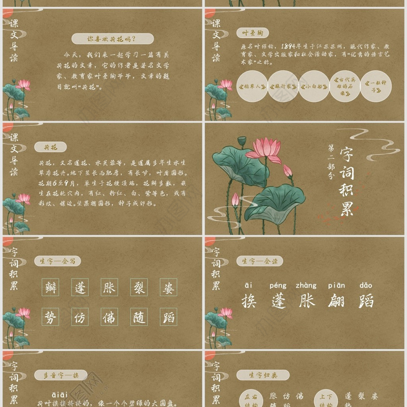 小学三年级语文荷花PPT课件