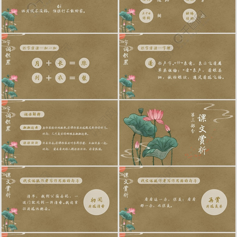 小学三年级语文荷花PPT课件