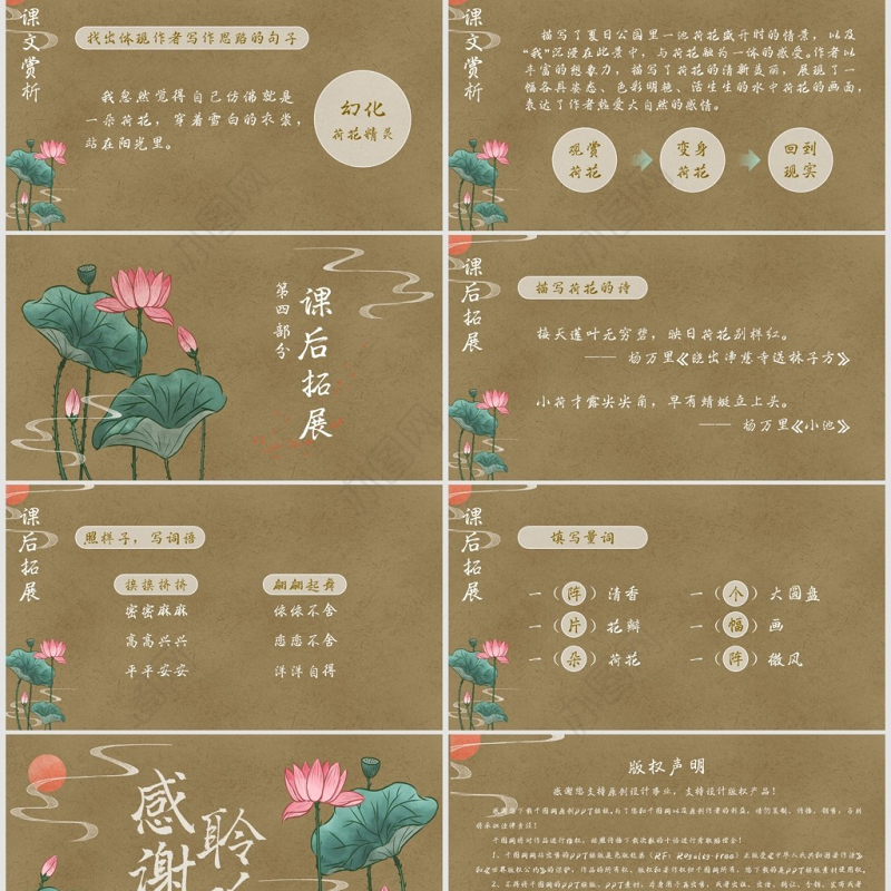 小学三年级语文荷花PPT课件