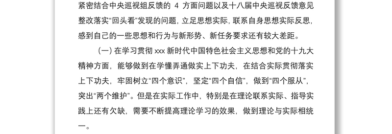 2021分管领导班子成员巡视整改专题生活会个人对照检查材料范文