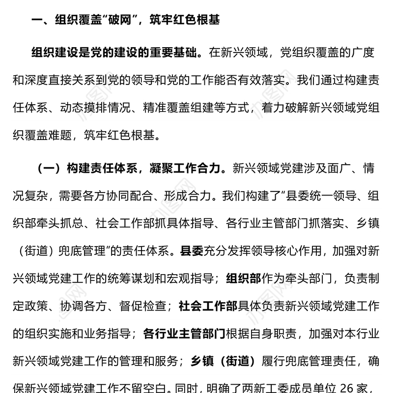 红色精美新兴领域党建工作汇报PPT模板(讲稿)