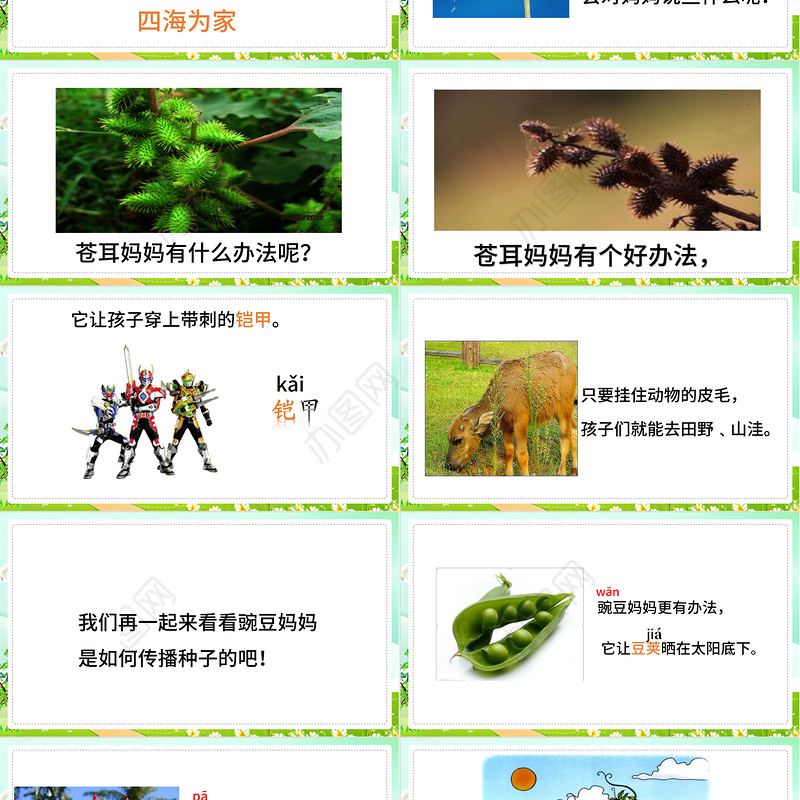 2022植物妈妈有办法PPT简约卡通课文第3课小学二年级语文上册人教版教学课件