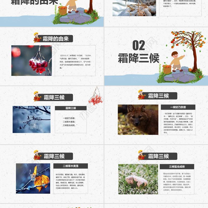 原创霜降二十四节气霜降主题班会教育PPT课件-版权可商用