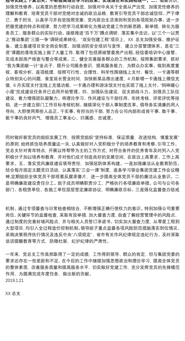 集团公司党总支党建工作总结