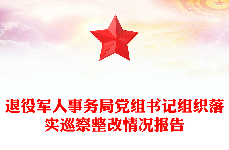 退役军人事务局党组书记组织落实巡察整改情况报告
