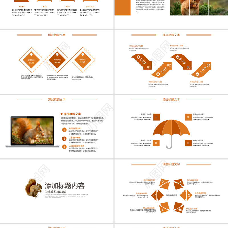 2022动物松鼠吃松果保护动物动态PPT实景创意语文教学课件模板