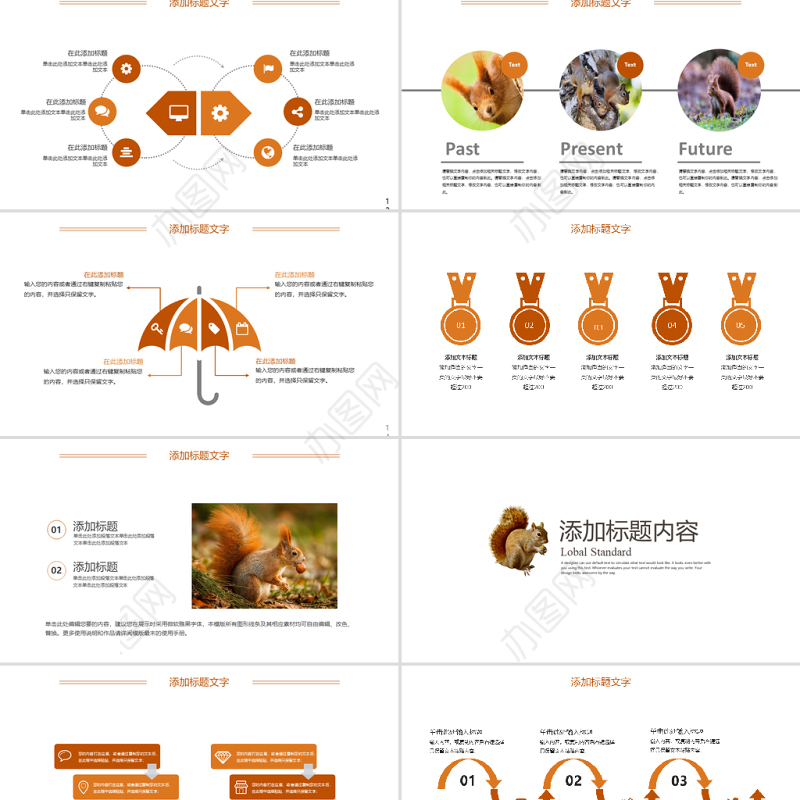 2022动物松鼠吃松果保护动物动态PPT实景创意语文教学课件模板