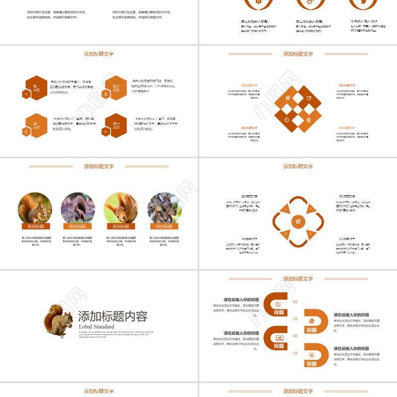 2022动物松鼠吃松果保护动物动态PPT实景创意语文教学课件模板