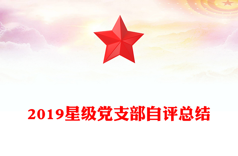 2019星级党支部自评总结