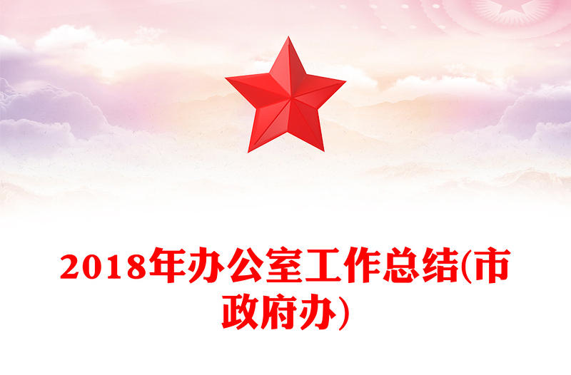 2018年办公室工作总结(市政府办)