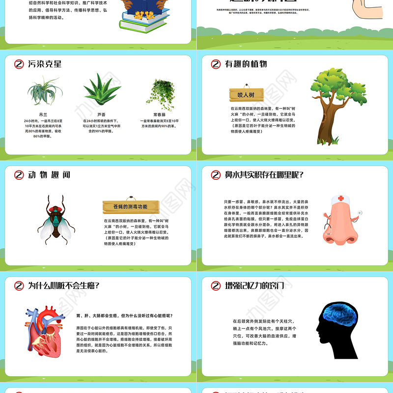 2023趣味科普小讲堂PPT卡通风幼儿园科普知识主题班会课件模板下载