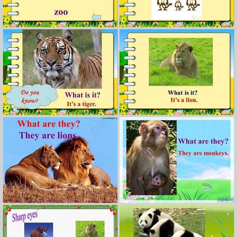  They are monkeys 英语课件PPT模板