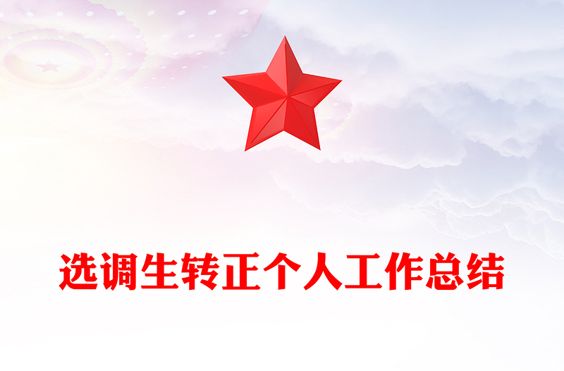 选调生转正个人工作总结