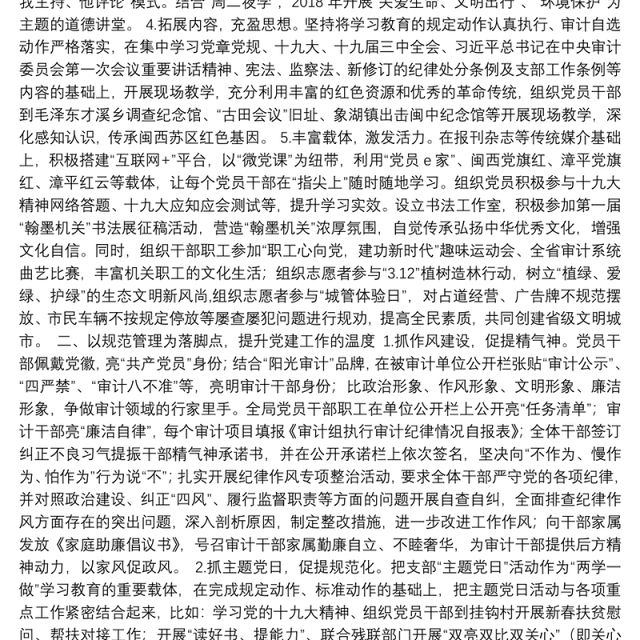 漳平市审计局2018年度党建工作总结及2019年工作计划