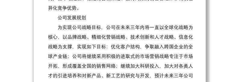 公司的未来战略规划及发展目标