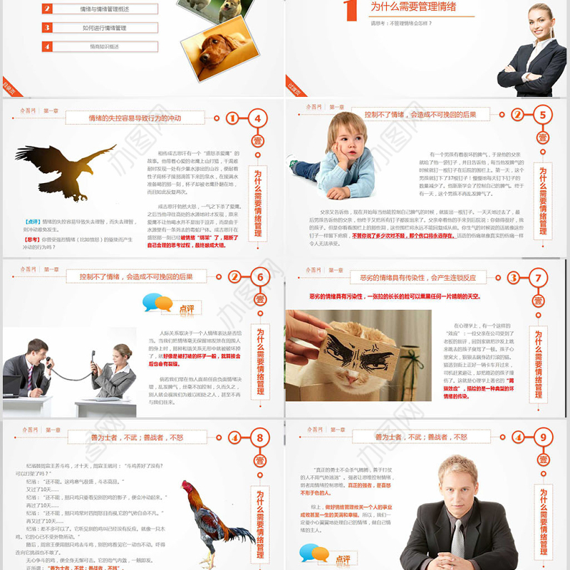 管理培训权限管理指南PPT