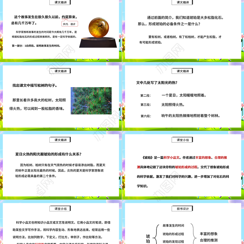 2022琥珀PPT第5课小学四年级语文下册部编人教版教学课件