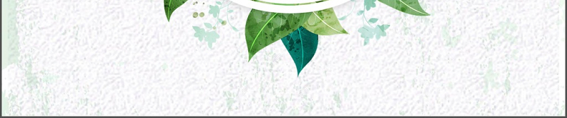 水彩小清新绿叶个人简历述职报告