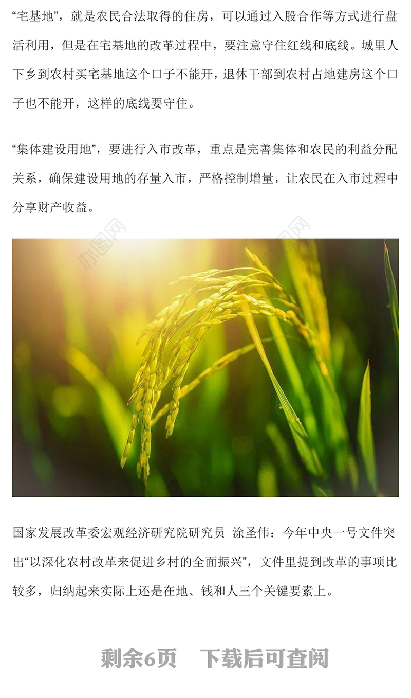 2025中央一号文件释放了哪些新信号PPT党课课件(讲稿)