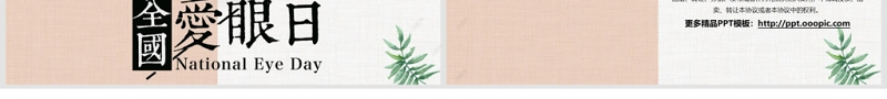 小清新全国爱眼日活动策划PPT
