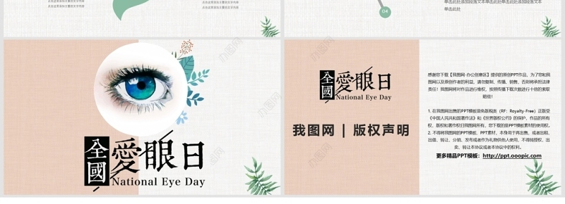 小清新全国爱眼日活动策划PPT