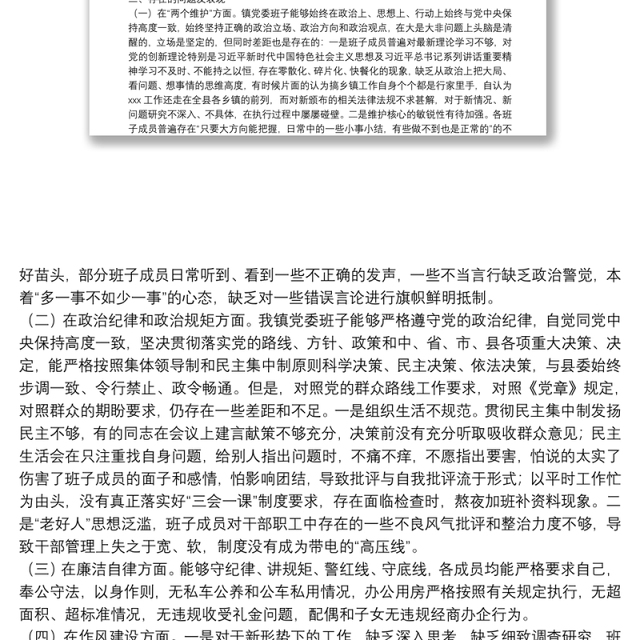 乡镇党委班子XX严重违纪违法案以案促改专题民主生活会检视剖析材料