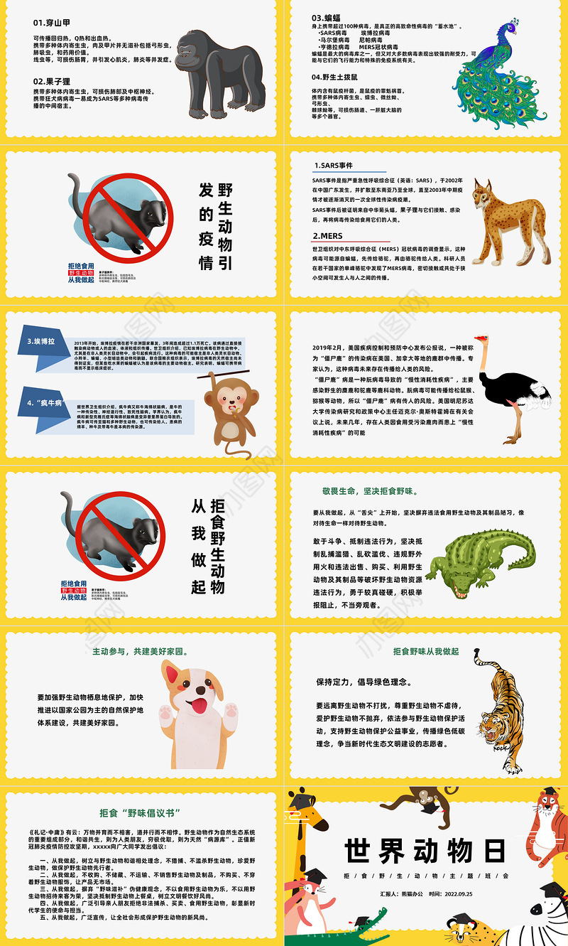 2022世界动物日PPT卡通插画风中小学生拒食野生动物主题班会课件模板下载