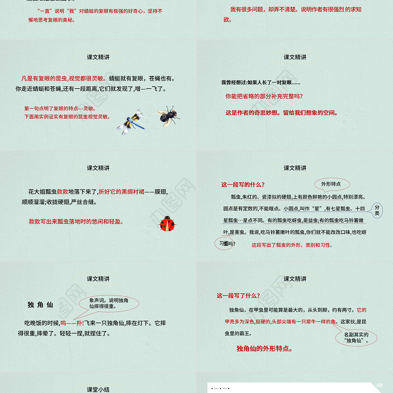 2022昆虫备忘录PPT第4课小学三年级语文下册部编人教版教学课件