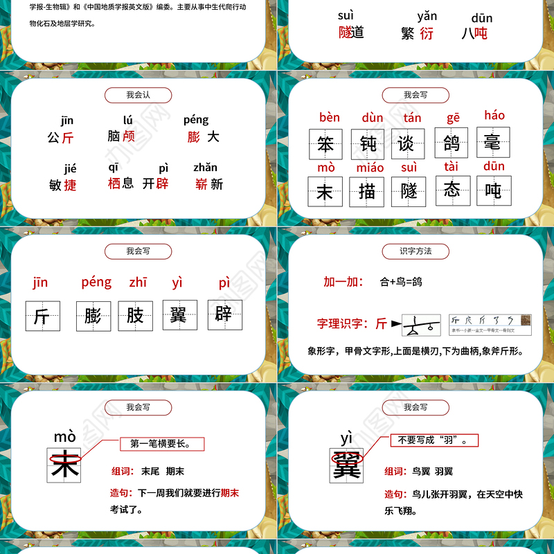 2022飞向蓝天的恐龙PPT第6课小学四年级语文下册部编人教版教学课件