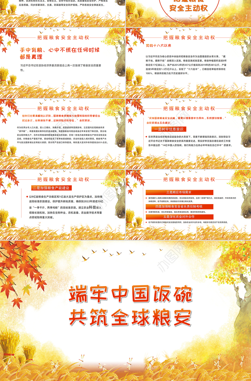端牢中国饭碗共筑全球粮安世界粮食日宣传周PPT模板