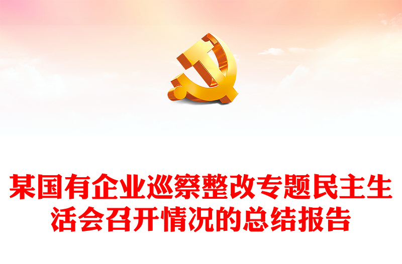 某国有企业巡察整改专题民主生活会召开情况的总结报告