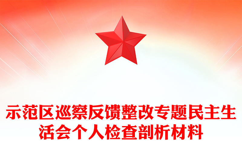 示范区巡察反馈整改专题民主生活会个人检查剖析材料