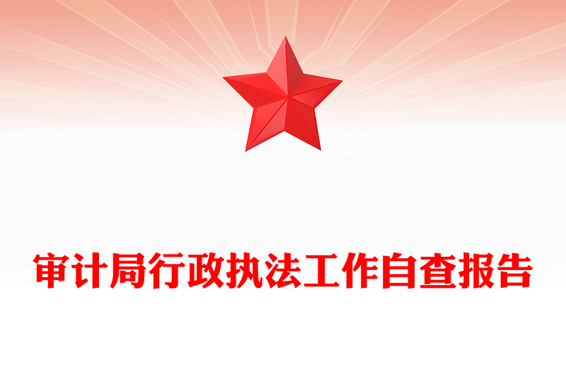 审计局行政执法工作自查报告