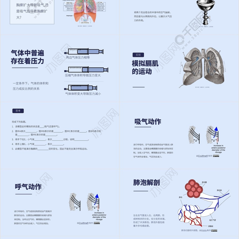 人教版七年级生物发生在肺内的气体交换