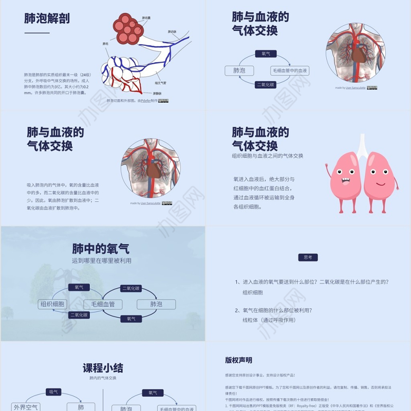 人教版七年级生物发生在肺内的气体交换