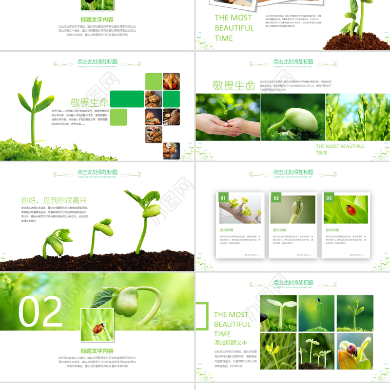 原创开场视频小树苗生长发芽成长春天ppt模板-版权可商用