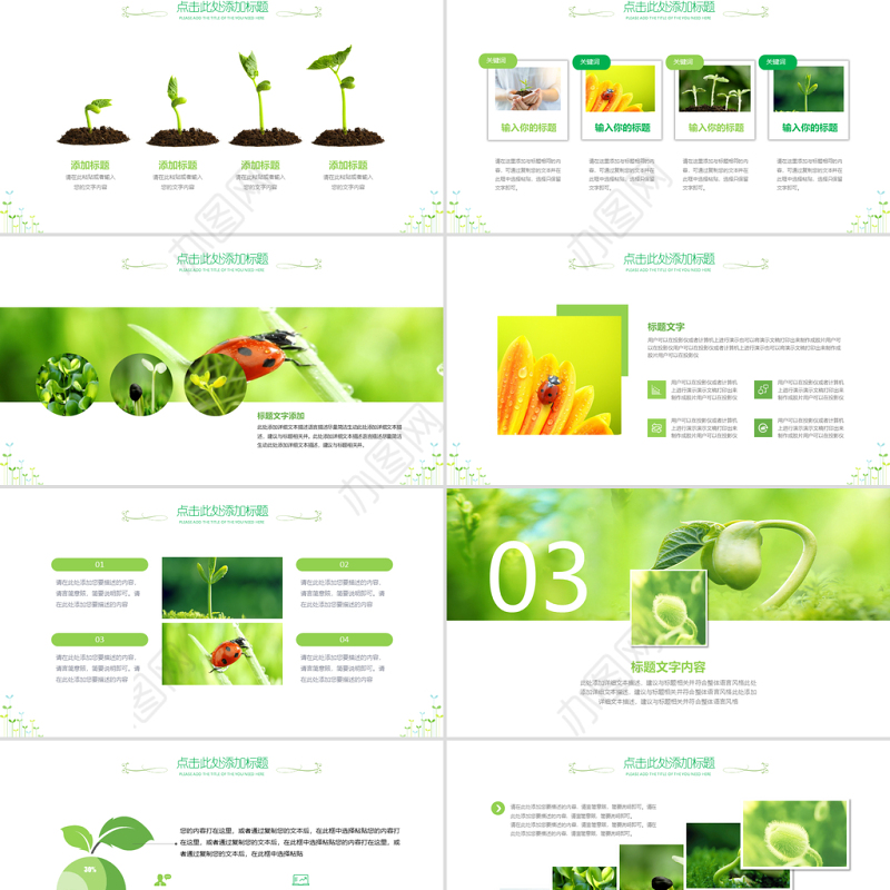 原创开场视频小树苗生长发芽成长春天ppt模板-版权可商用